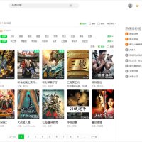 爱奇艺视频 PC 版 v10.6.5.7073 去广告绿色版